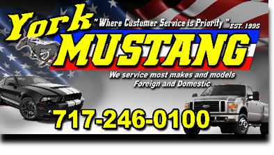 york mustang